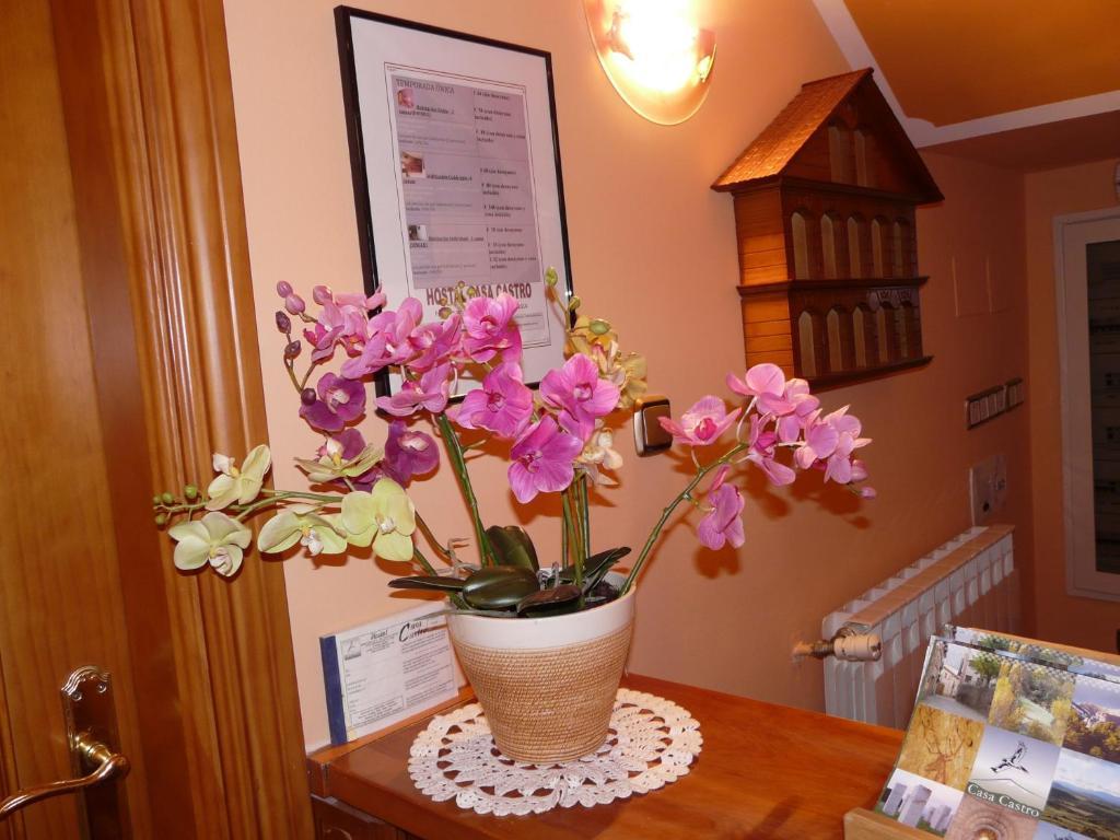 Hostal Rural Casa Castro Alberuela de la Liena Extérieur photo